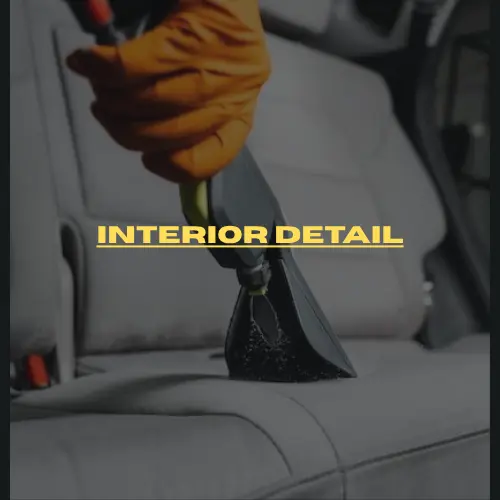  Interior Detail - (Sedan/Coupe)